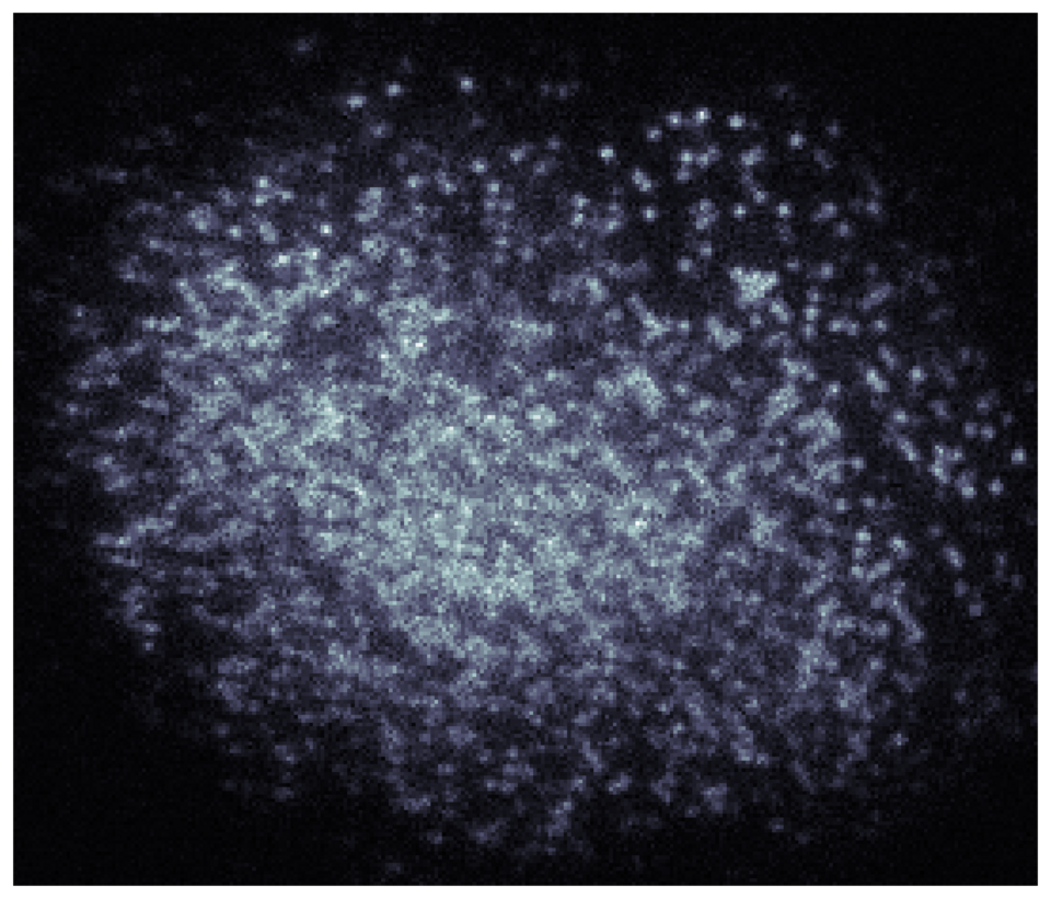 Fast microscopy of cold Yb at LMU!