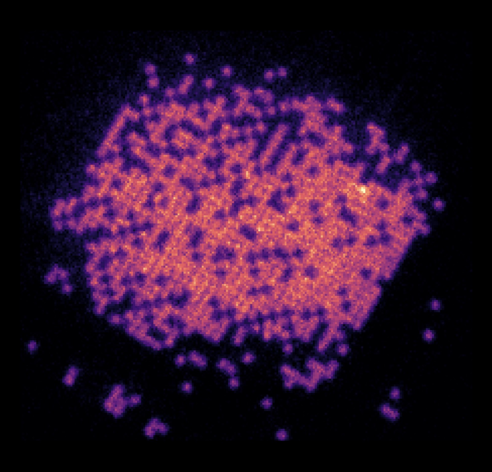 Cs Quantum Gas Microscope