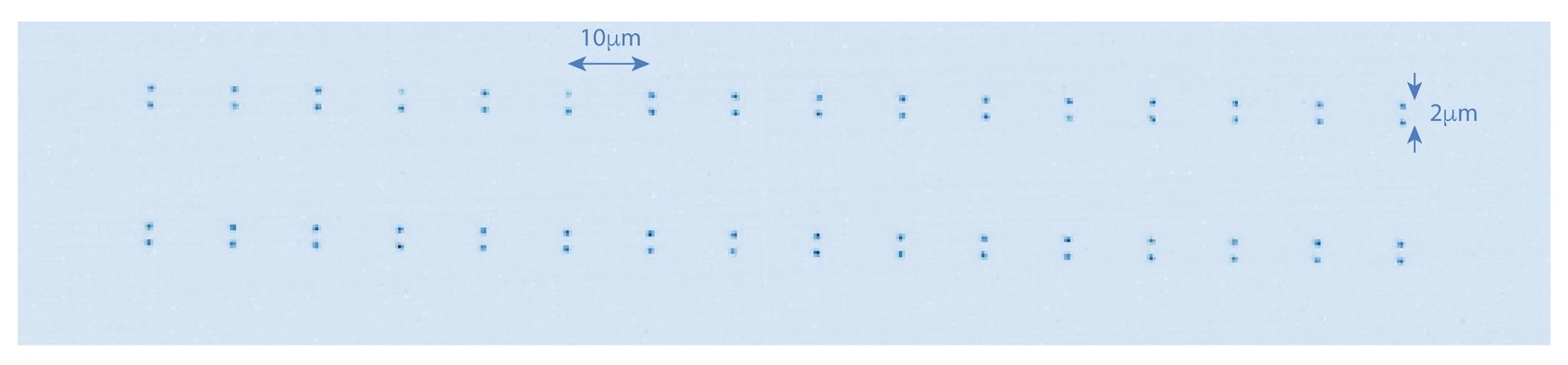 Ryd-Yb tweezer array